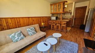Oceana Suites Parque Pucón - Pucón - 7