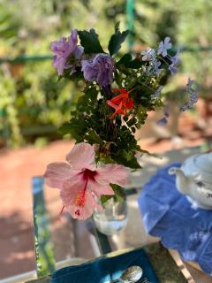 Villa Salina - Vicina al mare con giardino privato - Trabia - 3