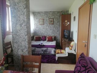 Пампорово студио Милка в хотел Росица - Pamporovo - 7