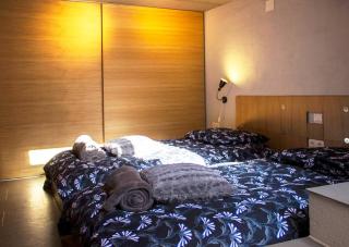 Garden House Prishtina with 2 Studios - Pristina - 3