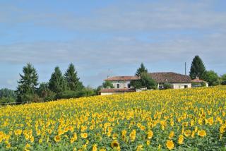 Afbeelding van de locatie