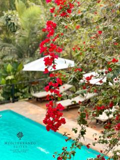 Mediterráneo Suites - 3