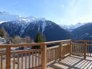 Paradiski nouveau, cosy et ensoleillé plan Peisey - Peisey-Nancroix - 5