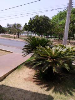 Palmares Hotel - 6