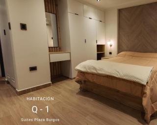 Suites Plaza Burgos - 2