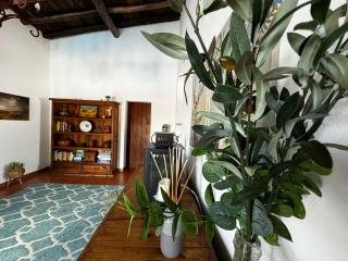 Casa d’ avó Lita - Falcoeiras - 2
