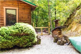 Fontana Woods Cabin - Bryson City - 7