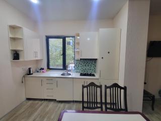 Zura's Apartment - Borjomi - 0