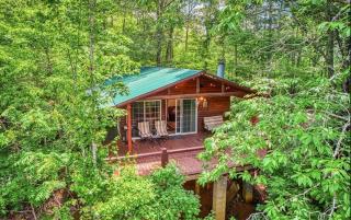 LunaBear's Hideaway - Bryson City - 9