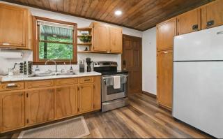 LunaBear's Hideaway - Bryson City - 1