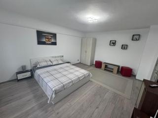 Apartament Alessi Home - Călimăneşti - 7