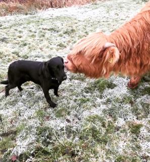 Tasburgh - Farthings - 5