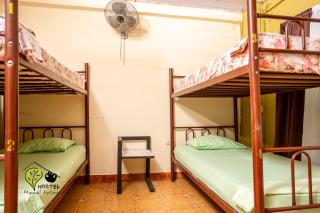 Manuel Antonio Hostel - Manuel Antonio - 3
