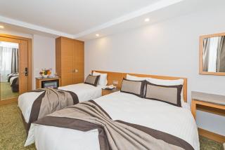Bisetun Hotel - Istanbul - 8