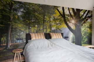 B&B De Pastorie - Harfsen - 5