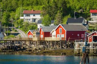 Reine seaview cabin - Reine - 8