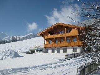 Apartment Galtenberg - Alpbach - 1