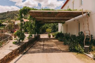 Ventozelo Hotel & Quinta - Ervedosa do Douro - 3