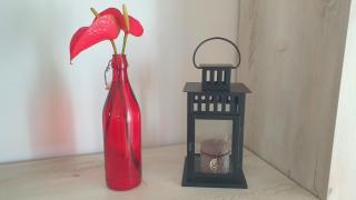ᑢᗩSᗩ ᘻᗩᖴᗩᒪᗪᗩ zona stazione - teatro - centro con parcheggio interno - Imola - 5