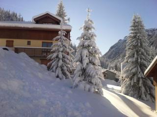 Les Chalets D'arrondaz - 3 pièces 4/6 personnes MAE-2932 - 5