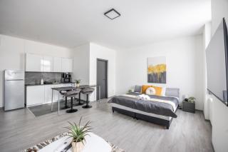 Exclusive & Grand City Central Residence w' 4BEDRM, 3BATHRM - Budapest - 8
