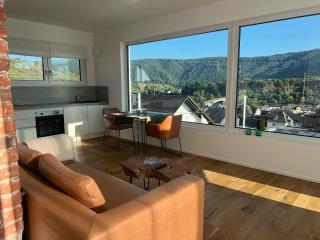 Weingut-Aparthotel Olinger - Mehring - 8