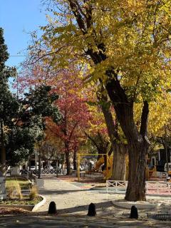 Oasis en la mejor zona de Mendoza - Mendoza - 7