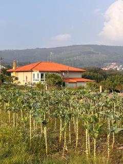 Casa Frutales Escaselas - Finisterre - 9