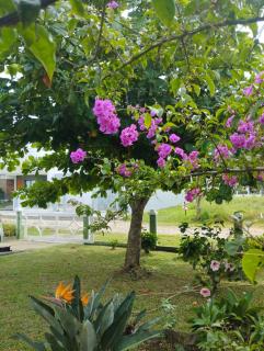 Casa de Praia Tranquilidade, Paz e Natureza - 1