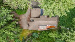 Modern Forest Retreat: Dog Friendly Scenic Views - Gig Harbor - 6