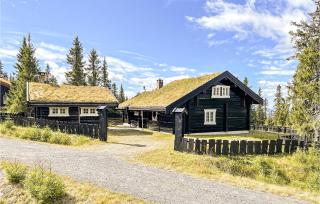 Cozy Home In Sjusjøen With Sauna - Sjusjøen - 3