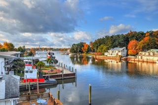 The Coyote - Saugatuck - 5