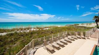 Sunflower - Bradenton Beach - 4