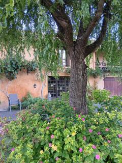 Au Moulin du Comte - en gîte - 7