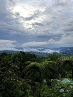 mountain apartment with ocean view II - Barú - 5