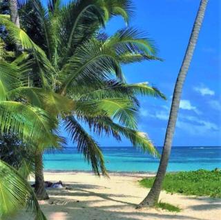 Idéal Vacances - Le Gosier - 2