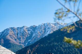 Queenstown Central, Walk to Town, Garage, BBQ - 5