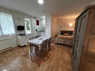 Studio idéal entre centre-ville et Thermes avec jardin et WIFI - FR-1-541-115 - La Roche-Posay - 9