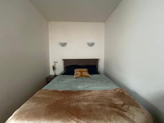 Studio idéal entre centre-ville et Thermes avec jardin et WIFI - FR-1-541-115 - La Roche-Posay - 7
