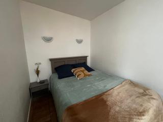 Studio idéal entre centre-ville et Thermes avec jardin et WIFI - FR-1-541-115 - La Roche-Posay - 3
