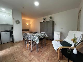 Charmant studio près des Thermes avec jardin et wifi - FR-1-541-118 - La Roche-Posay - 0