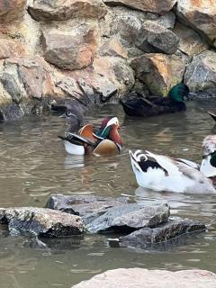 Luxurious Farm House - 1