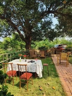 House of Aranya - 0