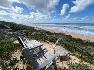 Golden Beach Beauty! - - 2