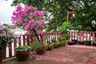 Athithara Homestay - Phra Nakhon Si Ayutthaya - 7