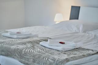 Apartment DOM IV - Erfurt Domplatz - 1