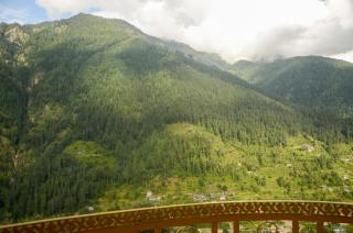 Hill View Homestay Jibhi - Jibhi - 8