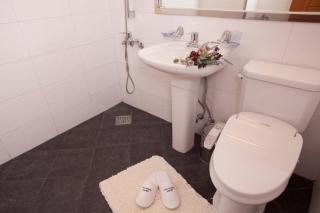 Cheongpyeong Family Hotel and Caviar Park - Gapyeong - 5