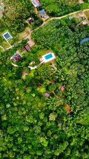Misty Night Jungle Side Resort - Pulpally - 0