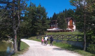 Hotel Rakitna - Rakitna - 2